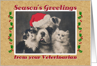 Season’s Greetings, from Vet, dog and cats card