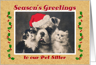 Season’s Greetings for Pet Sitter, Bulldog and Cats Vintage Postcard card