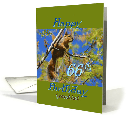 Birthday, for Granddad, Squirrel in tree card (887878)