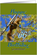 Birthday, for Granddad, Squirrel in tree card