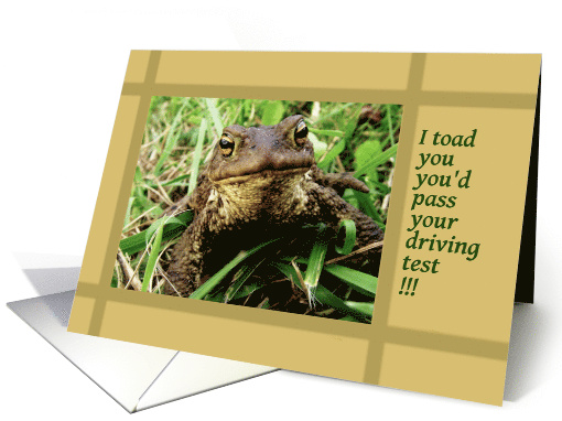 Congratulations, passed driving test, toad card (894503)