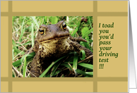 Congratulations, passed driving test, toad card