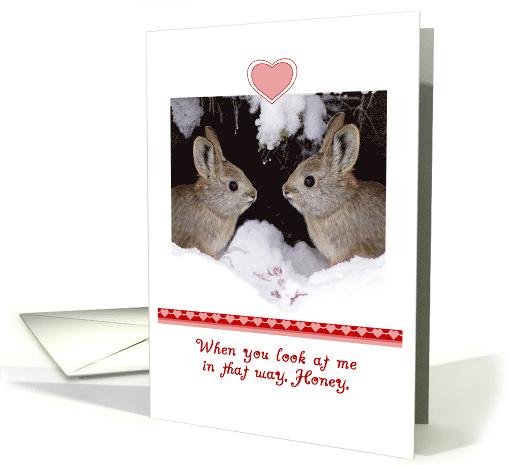Valentine's Day, Humorous, Two Rabbits card (894916)