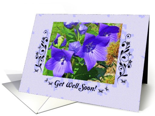 Get well, Star-shaped flowers card (896880)