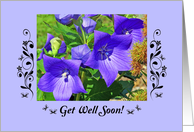 Get well, Star-shaped flowers card