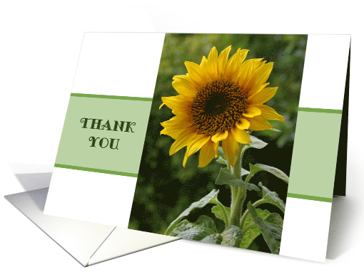 Thank You, Sunflower card (976559)