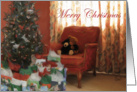 Merry Christmas Teddy Bears card