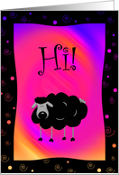 Black Sheep, HI, You’re Fabulous Card