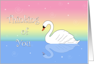 Illustrated White Swan, Pastels, Pink Yellow Blue Thinking of You Card