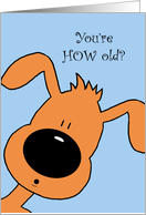 Cartoon Dog Humor Old Age Happy Birthday Card