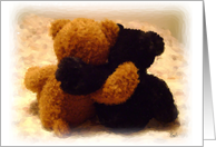 2 Stuffed Bears, Blank Inside card