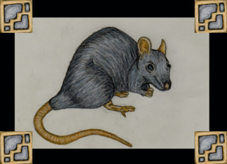 Rat Chinese Zodiac