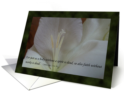 thank you card (676024)