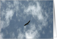 Soaring High card