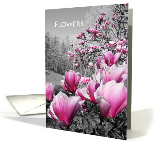 Flowers saucer magnolia blank note card colored card (933803)