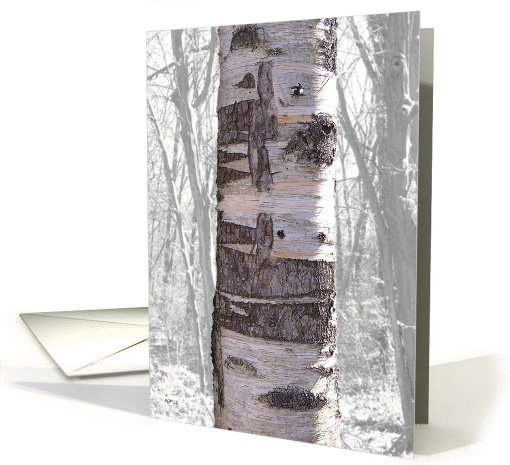Great Birch Tree And Forest, Blank card (942356)