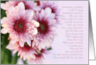 Sympathy for Divorce with Pink Daisies and Christian Encouragement card