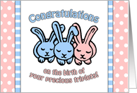 Congratulations on the Birth of Your Triplets Cute Bunny Illustration card