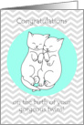 Congratulations on the Birth of Your Twins with Cute Sleepy Kittens card