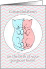 Congratulations on the Birth of Your Twins with Cute Sleepy Kittens card