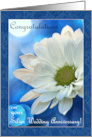 Congratulations on Your Silver Wedding Anniversary with White Daisy card