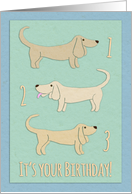 Happy 3rd Birthday, daschshund illustration, tan, mint green, blue card