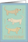 Happy 3rd Birthday, daschshund illustration, tan, mint green, blue card