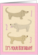Happy 3rd Birthday, dachshund illustration, tan, pink, cream card