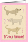 Happy 3rd Birthday, dachshund illustration, tan, pink, cream card