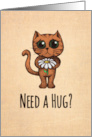 Need a Hug I am Here for You Encouragement with Cute Cat Illustration card