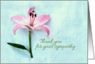 Thank you for your sympathy, simple pink lily, textured photograph card