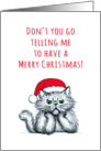 Missing you at Christmas, cross cat sketch illustration, humor card