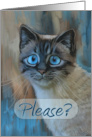 Please Forgive Me Sad Tabby Cat Painting with Big Blue Eyes card