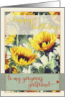 Happy Birthday to My Gorgeous Girlfriend with Golden Sunflowers card