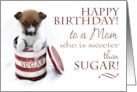 Happy Birthday to a Mom Who is Sweeter than Sugar with Cute Puppy card