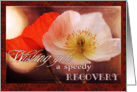Wishing you a speedy recovery, poppies, textures, vintage feel. card