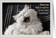 Get Well Soon Laughing Cat Photo Laughter is the Best Medicine card