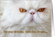 Birthday card, angry...