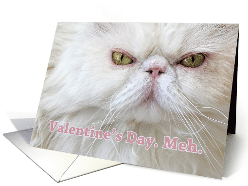 Anti-Valentine's Angry White Persian Cat Valentine's Day Meh card