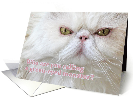 Anti-Valentine's Funny Angry Persian Cat Green-eyed Monster card