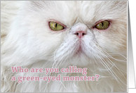 Anti-Valentine’s Funny Angry Persian Cat Green-eyed Monster card