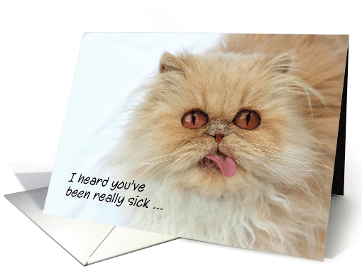 Cute Funny Persian Cat I Heard You've Been Sick Get Well Soon card