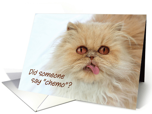 Cute Persian Cat Humor Chemotherapy & Cancer Get Well Soon card