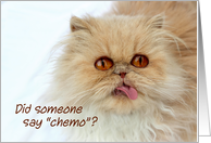 Cute Persian cat, chemotherapy, get well, Did someone say chemo? card