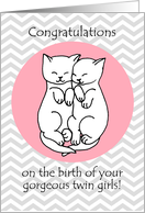 Congratulations on the Birth of Your Twin Girls with Cute Kittens card