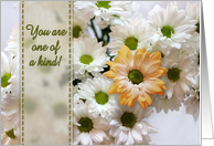 You are one of a kind! Birthday, white daisies, single peach daisy. card