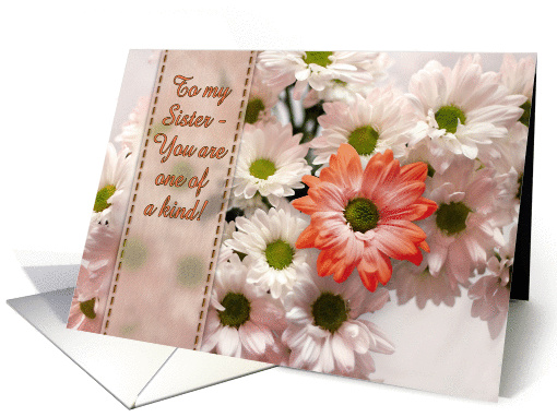 To my Sister on her birthday, You are one of a kind,... (1087938)