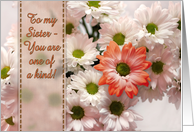To my Sister on her...