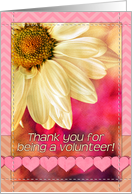 Thank you for being a volunteer! Golden daisy macro, pink, chevron card