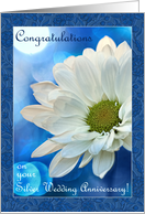 Congratulations on your Silver Wedding Anniversary! white daisy, blue card